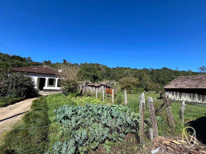 Terreno de 41 hectares á Venda em São Martinho-SC: 20ª foto da galeria de imagens do imóvel