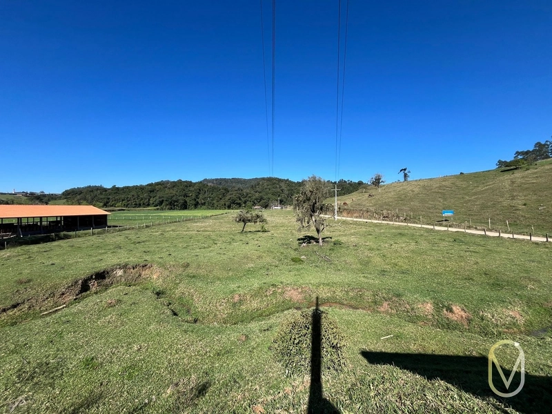 Terreno de 41 hectares á Venda em São Martinho-SC: 6ª foto da galeria de imagens do imóvel