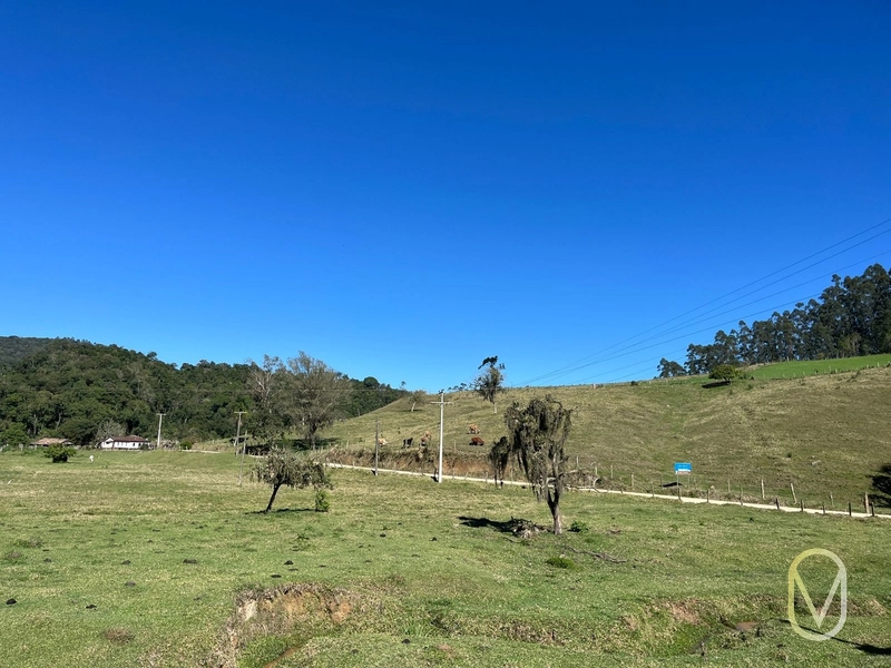 Terreno de 41 hectares á Venda em São Martinho-SC: 5ª foto da galeria de imagens do imóvel