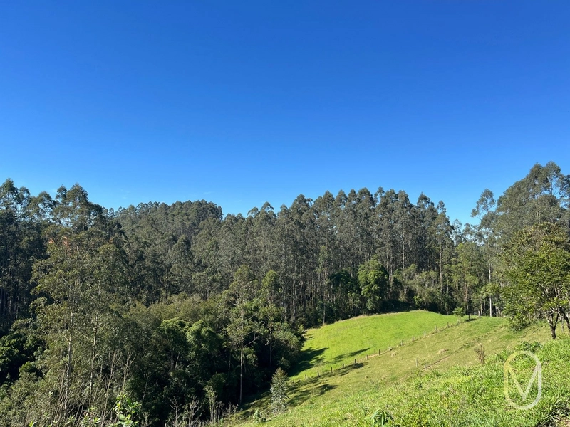 Terreno de 41 hectares á Venda em São Martinho-SC: 41ª foto da galeria de imagens do imóvel