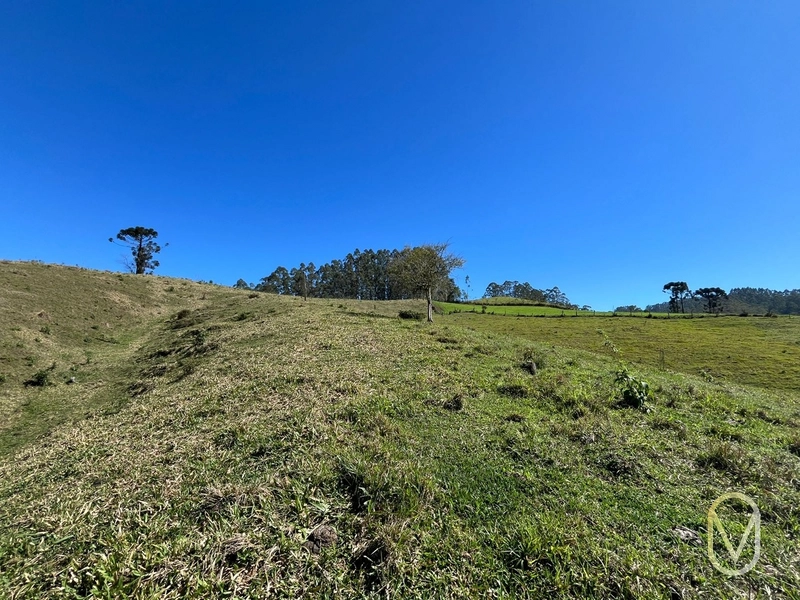 Terreno de 41 hectares á Venda em São Martinho-SC: 39ª foto da galeria de imagens do imóvel