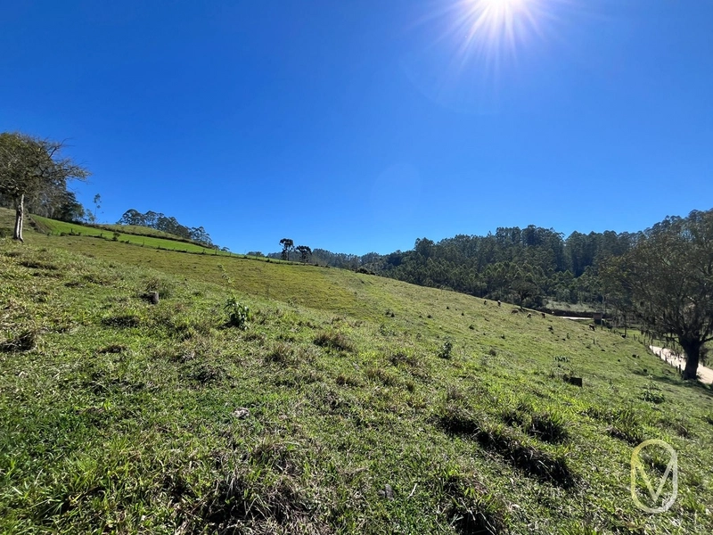 Terreno de 41 hectares á Venda em São Martinho-SC: 40ª foto da galeria de imagens do imóvel