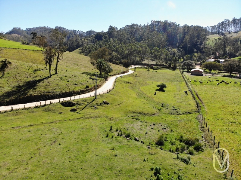 Terreno de 41 hectares á Venda em São Martinho-SC: 14ª foto da galeria de imagens do imóvel