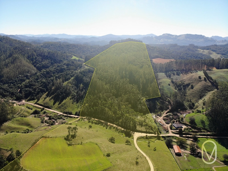 Terreno de 41 hectares á Venda em São Martinho-SC: 3ª foto da galeria de imagens do imóvel