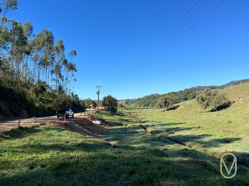 Terreno de 41 hectares á Venda em São Martinho-SC: 9ª foto da galeria de imagens do imóvel