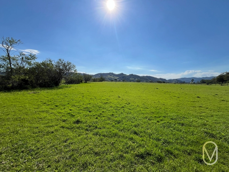Terreno de 16,2 hectares á Venda em Gravatal-SC: 12ª foto da galeria de imagens do imóvel