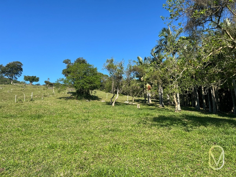 Terreno de 16,2 hectares á Venda em Gravatal-SC: 29ª foto da galeria de imagens do imóvel