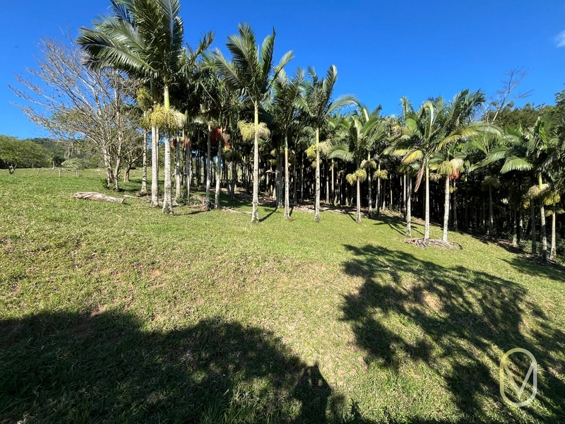 Terreno de 16,2 hectares á Venda em Gravatal-SC: 25ª foto da galeria de imagens do imóvel