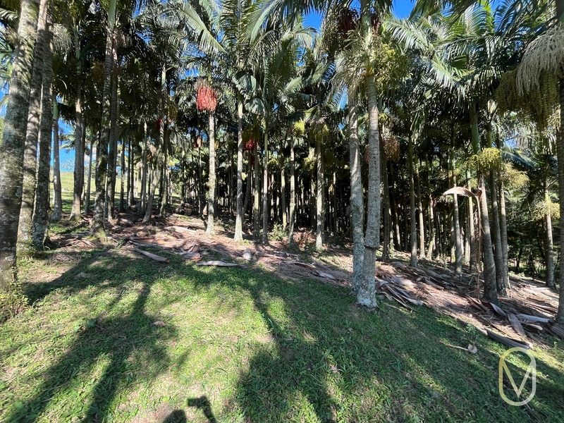 Terreno de 16,2 hectares á Venda em Gravatal-SC: 31ª foto da galeria de imagens do imóvel