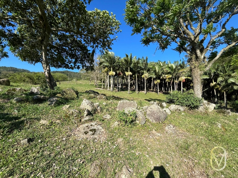 Terreno de 16,2 hectares á Venda em Gravatal-SC: 23ª foto da galeria de imagens do imóvel