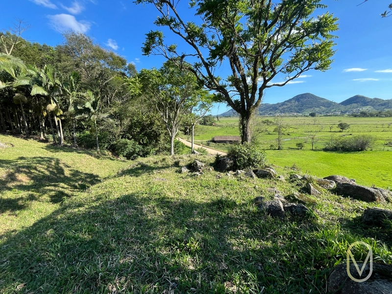 Terreno de 16,2 hectares á Venda em Gravatal-SC: 26ª foto da galeria de imagens do imóvel