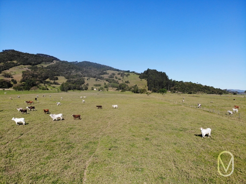 Terreno de 16,2 hectares á Venda em Gravatal-SC: 16ª foto da galeria de imagens do imóvel