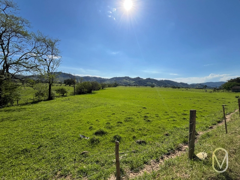 Terreno de 16,2 hectares á Venda em Gravatal-SC: 13ª foto da galeria de imagens do imóvel