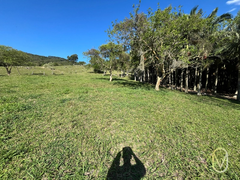 Terreno de 16,2 hectares á Venda em Gravatal-SC: 28ª foto da galeria de imagens do imóvel