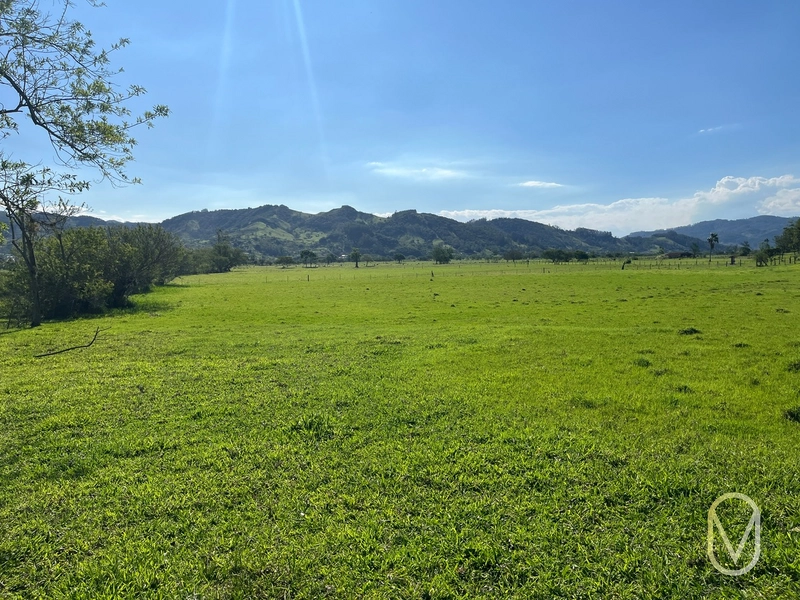 Terreno de 16,2 hectares á Venda em Gravatal-SC: 11ª foto da galeria de imagens do imóvel