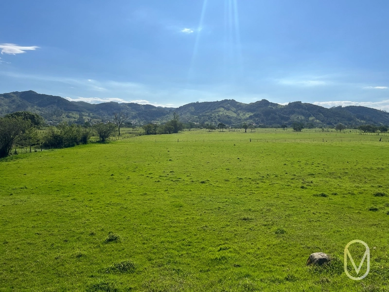Terreno de 16,2 hectares á Venda em Gravatal-SC: 14ª foto da galeria de imagens do imóvel