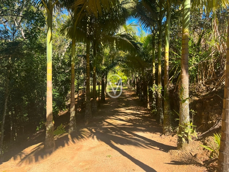 Sitio á Venda em Bom Jesus em Armazém-SC: 2ª foto da galeria de imagens do imóvel