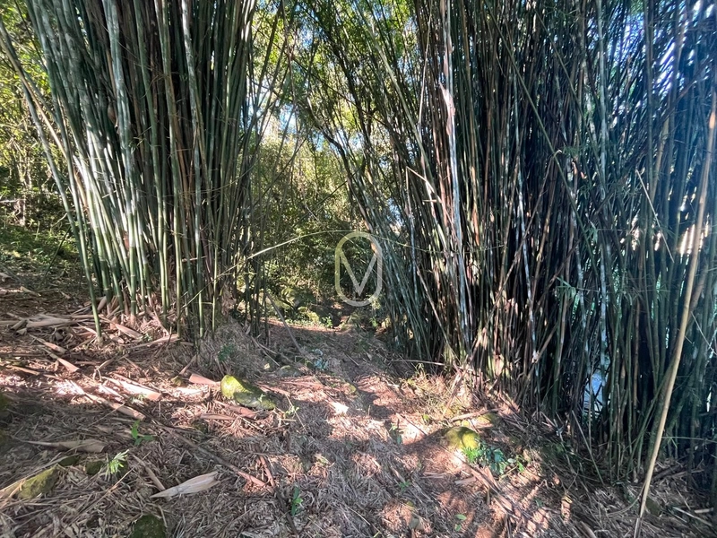 Terreno á Venda em Armazém-SC: 44ª foto da galeria de imagens do imóvel