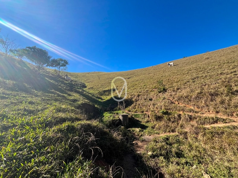 Terreno á Venda em Armazém-SC: 38ª foto da galeria de imagens do imóvel