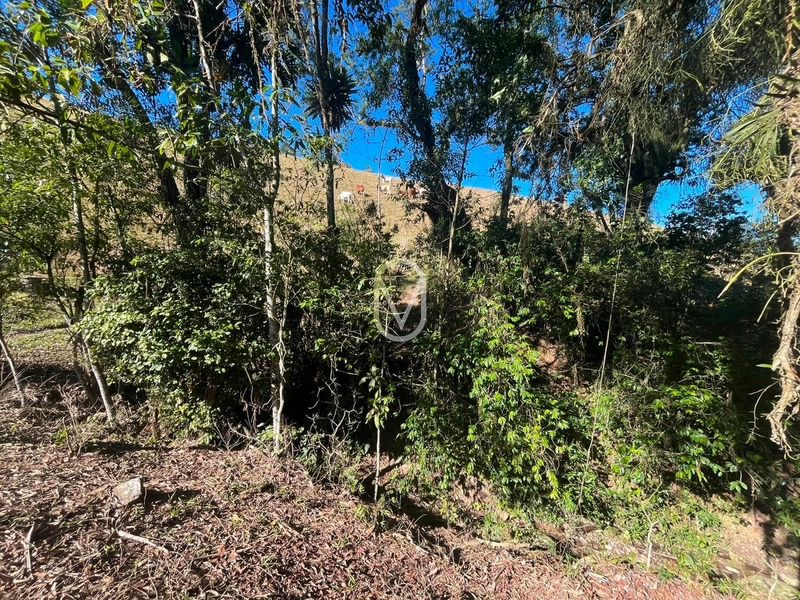 Terreno á Venda em Armazém-SC: 37ª foto da galeria de imagens do imóvel