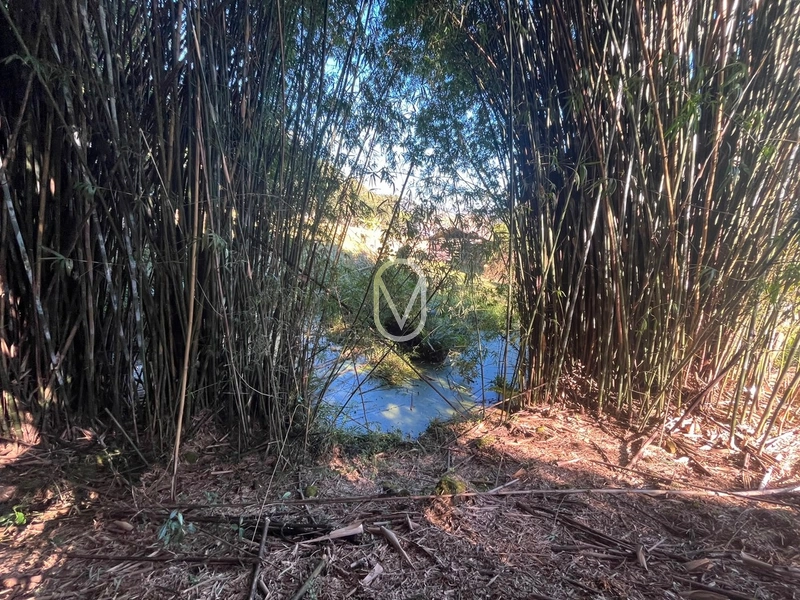 Terreno á Venda em Armazém-SC: 45ª foto da galeria de imagens do imóvel