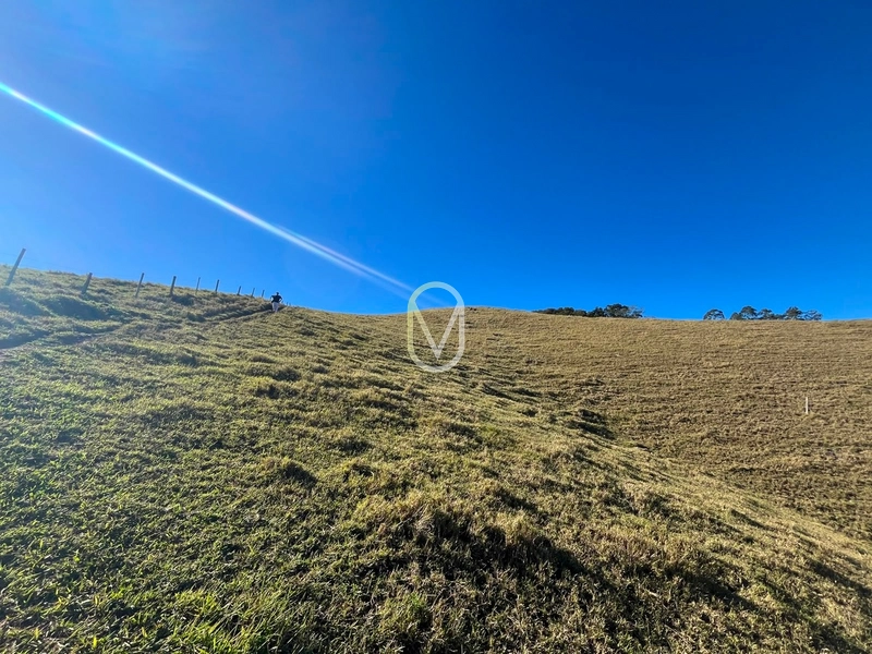 Terreno á Venda em Armazém-SC: 32ª foto da galeria de imagens do imóvel
