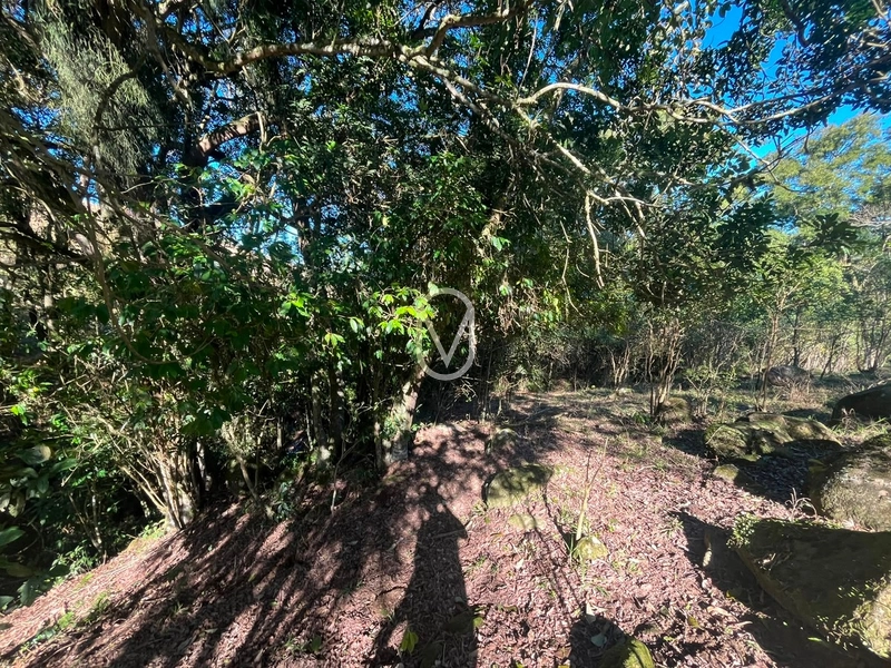 Terreno á Venda em Armazém-SC: 36ª foto da galeria de imagens do imóvel