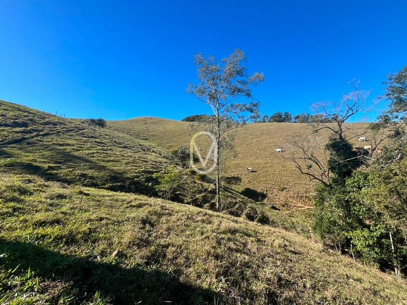 Terreno á Venda em Armazém-SC: 34ª foto da galeria de imagens do imóvel