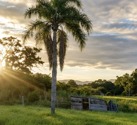 Excelente oportunidade Sitio - Parobé: 11ª foto da galeria de imagens do imóvel