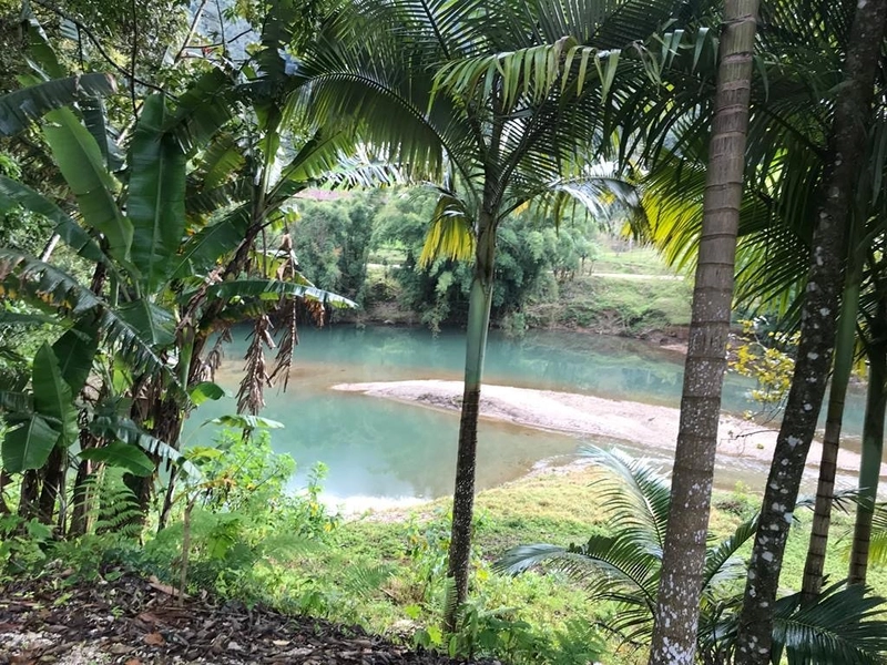 Sítio à venda em Botuverá – 5.000 m² escriturados: 7ª foto da galeria de imagens do imóvel
