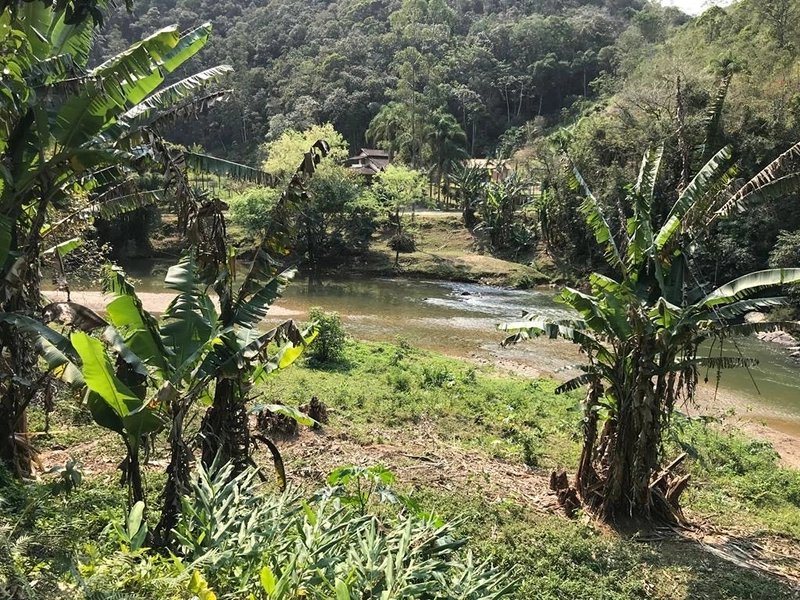 Sítio à venda em Botuverá – 5.000 m² escriturados: 13ª foto da galeria de imagens do imóvel