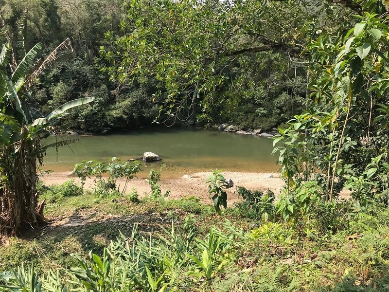 Sítio à venda em Botuverá – 5.000 m² escriturados: 15ª foto da galeria de imagens do imóvel