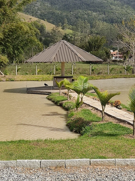 Sítio dos Sonhos em Camboriú com 21.000m² e Casa de Alto Padrão!: 27ª foto da galeria de imagens do imóvel