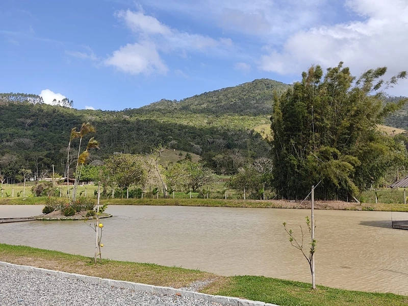Sítio dos Sonhos em Camboriú com 21.000m² e Casa de Alto Padrão!: 34ª foto da galeria de imagens do imóvel