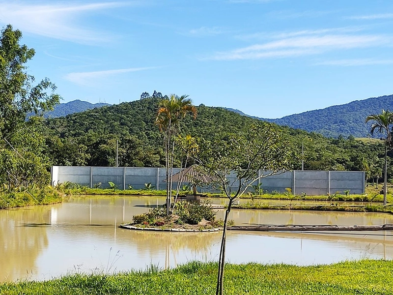 Sítio dos Sonhos em Camboriú com 21.000m² e Casa de Alto Padrão!: 5ª foto da galeria de imagens do imóvel