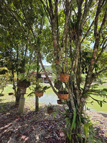 Sítio à Venda em Brusque – Rancho de Festa Próximo ao Centro: 15ª foto da galeria de imagens do imóvel