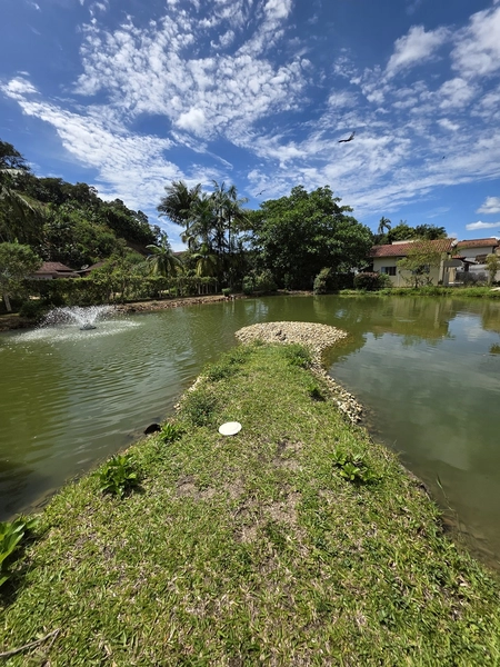 Sítio à Venda em Brusque – Rancho de Festa Próximo ao Centro: 18ª foto da galeria de imagens do imóvel
