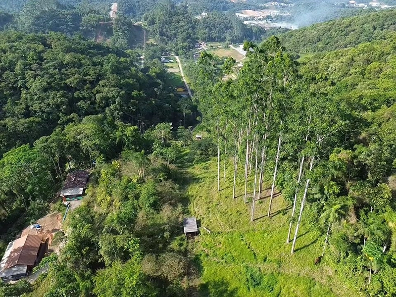 Sítio à Venda em Guabiruba Sul – Guabiruba/SC: 5ª foto da galeria de imagens do imóvel