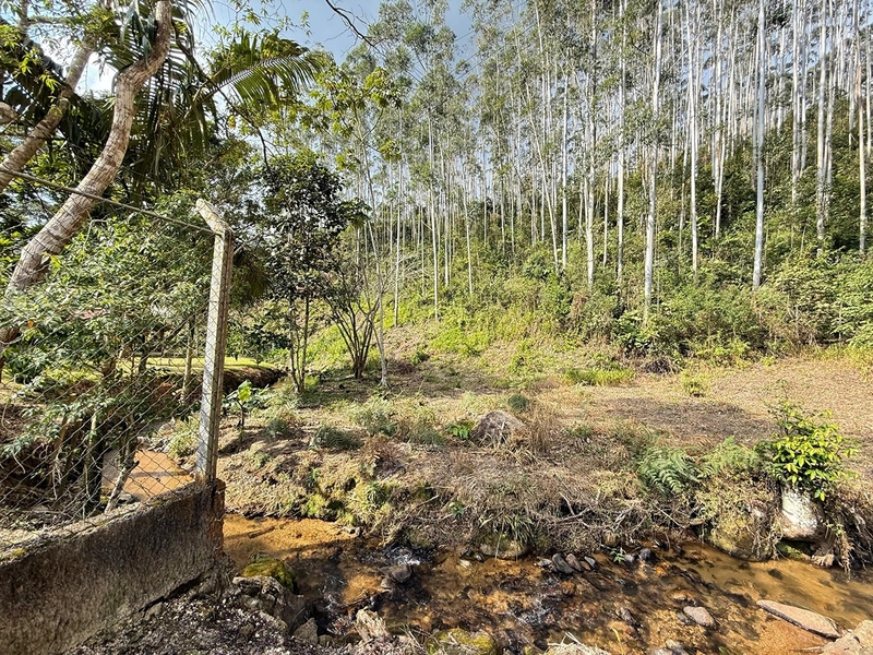 Sítio Cedro Alto – Oportunidade Única - Mobiliado : 4ª foto da galeria de imagens do imóvel