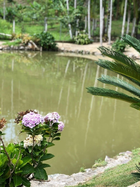 Sitio/Chácara dos Sonhos à Venda em Guabiruba: 24ª foto da galeria de imagens do imóvel