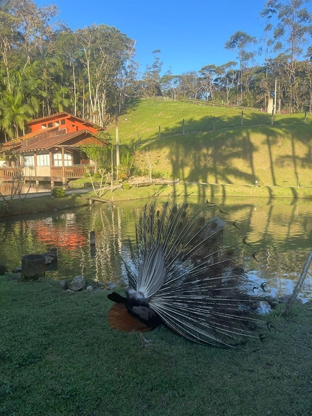 Sitio/Chácara dos Sonhos à Venda em Guabiruba: 25ª foto da galeria de imagens do imóvel