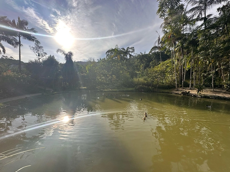 Sitio/Chácara dos Sonhos à Venda em Guabiruba: 53ª foto da galeria de imagens do imóvel