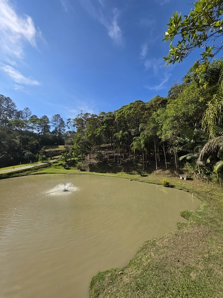 Sitio Pronto para uso - Cedro alto - Brusque: 24ª foto da galeria de imagens do imóvel