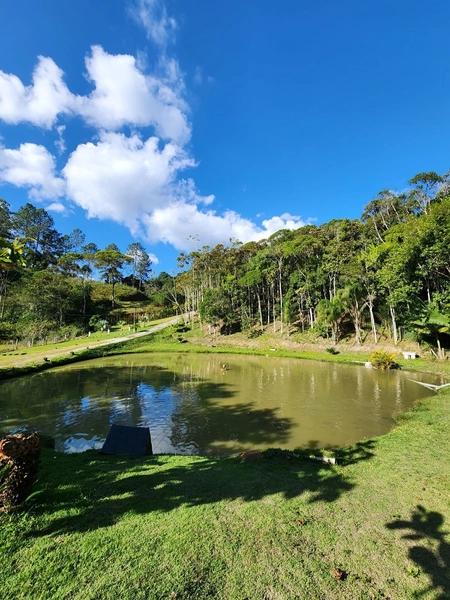 Sitio Pronto para uso - Cedro alto - Guabiruba: 11ª foto da galeria de imagens do imóvel