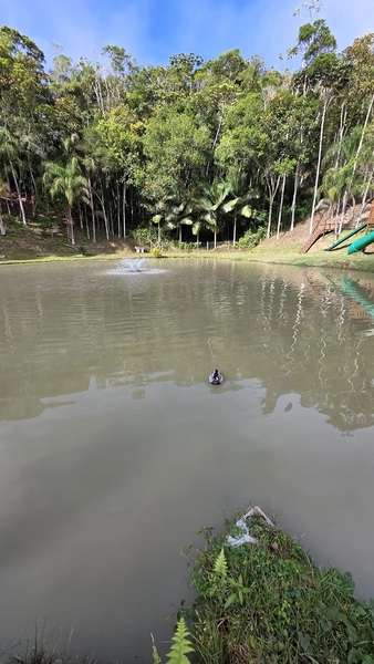 Sitio Pronto para uso - Cedro alto - Brusque: 36ª foto da galeria de imagens do imóvel