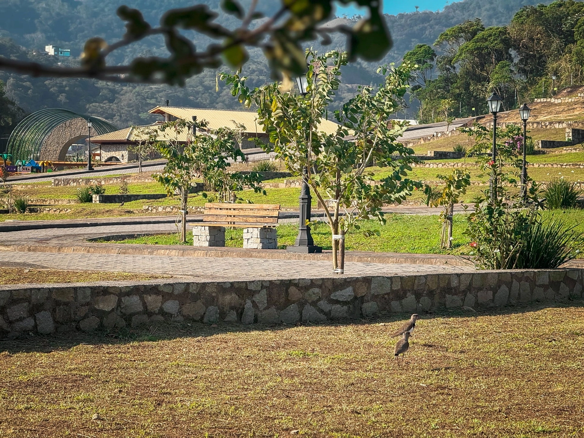 31ª foto do condomínio