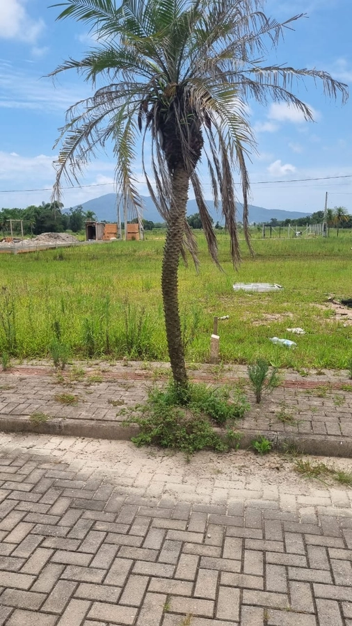 14ª foto do condomínio