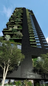 condiminio - Black Bird