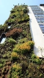 Seu refúgio a apenas 30 metros da areia!: 3ª foto da galeria de imagens do imóvel