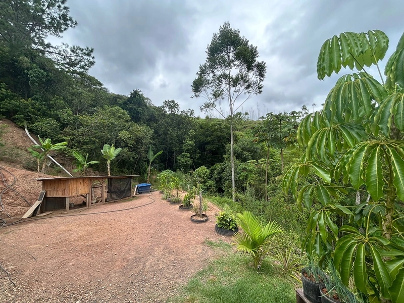 OPORTUNIDADE ÚNICA – SÍTIO COMPLETO COM 3 CASAS E AMPLO TERRENO: 2ª foto da galeria de imagens do imóvel